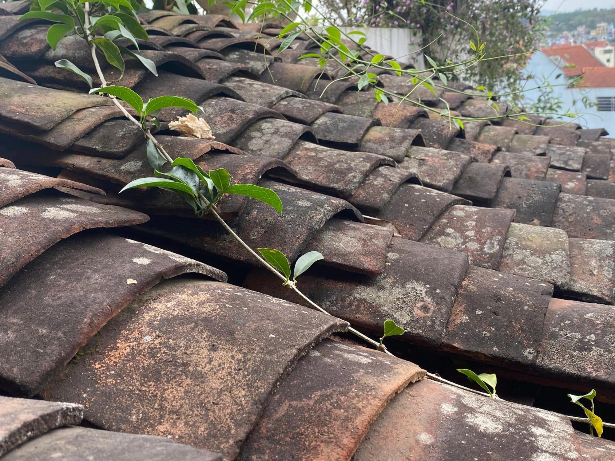 Kha Ban Homestay Cao Bang Dış mekan fotoğraf